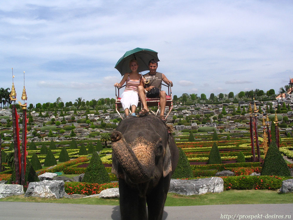 Катание на слоне в Нонг Нуч