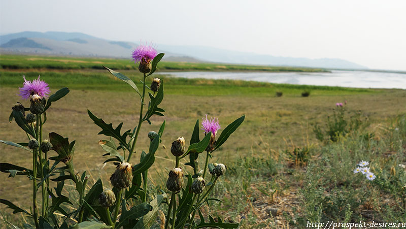 Соленое озеро в Баргузинской долине