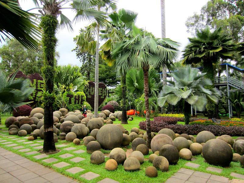 пальмы в Нонг НУч