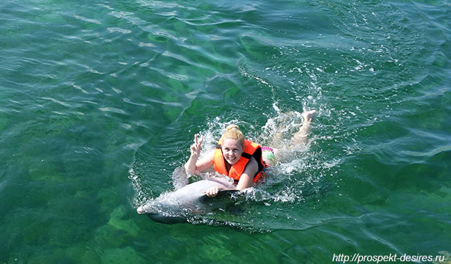 катание на дельфине в варадеро