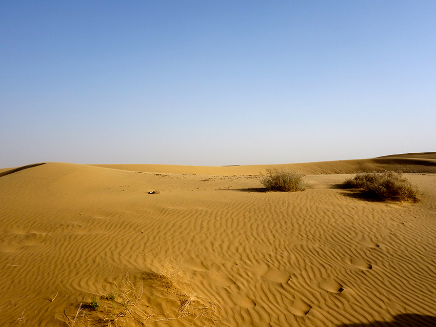 Индийская пустыня Тар