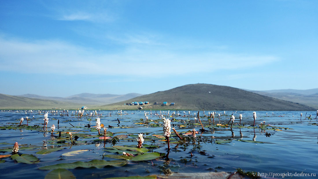 Озеро шара нур на острове ольхон