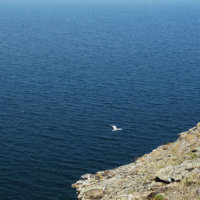 Остров Ольхон — сердце Байкала. Отправляемся в путешествие по острову Ольхон!