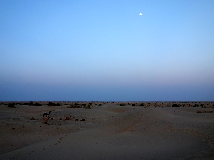 ночь в пустыне Тар Индия